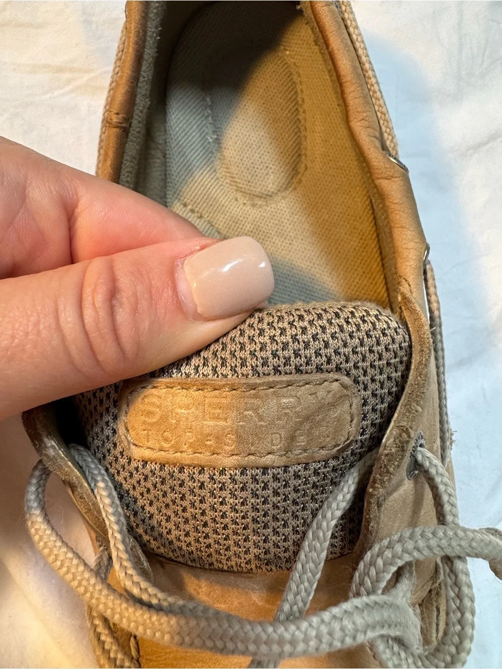 Sperry classic top